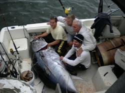 cape cod fishing
